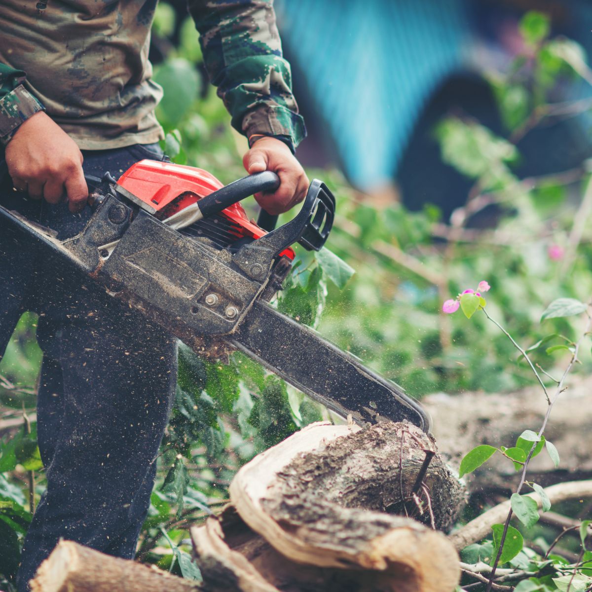 Tree Branch Cutters